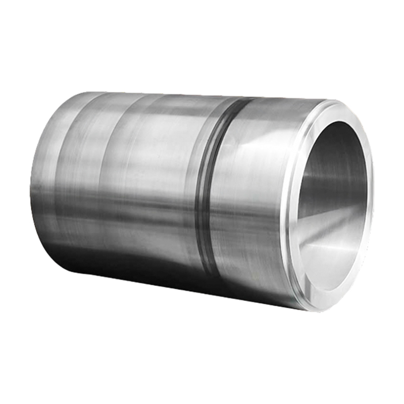 Slewing বিয়ারিং Forgings